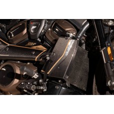 Zard 120th ANNIVERSARY LIMITED EDITION Carbon Fiber Radiator Covers, Front Fender, Side Panel, Billet Radiator Cap and Rear Suspension Knob Kit for Harley Davidson Sportster S 1250